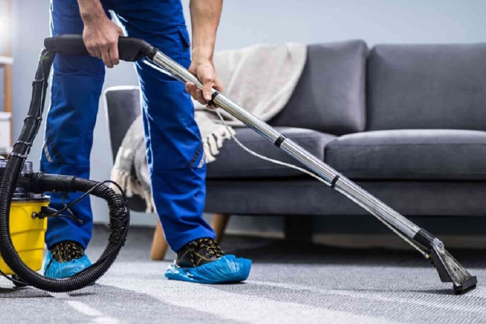 Dont Miss Out On Eco Friendly Carpet Cleaning Offers In Vancouvers