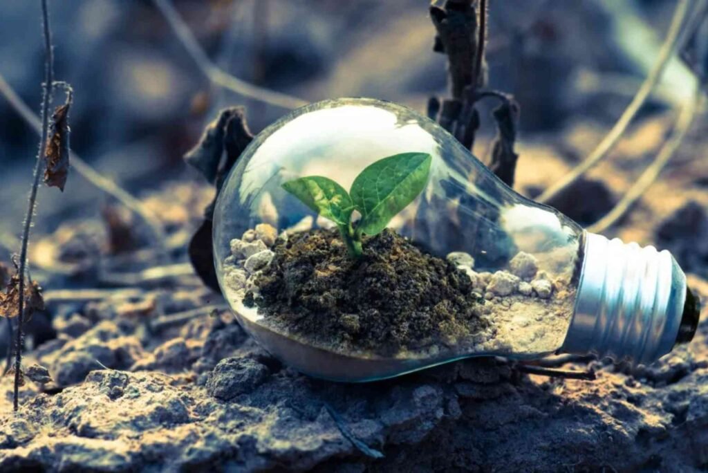 How Technology Helps Reduce Environmental Waste