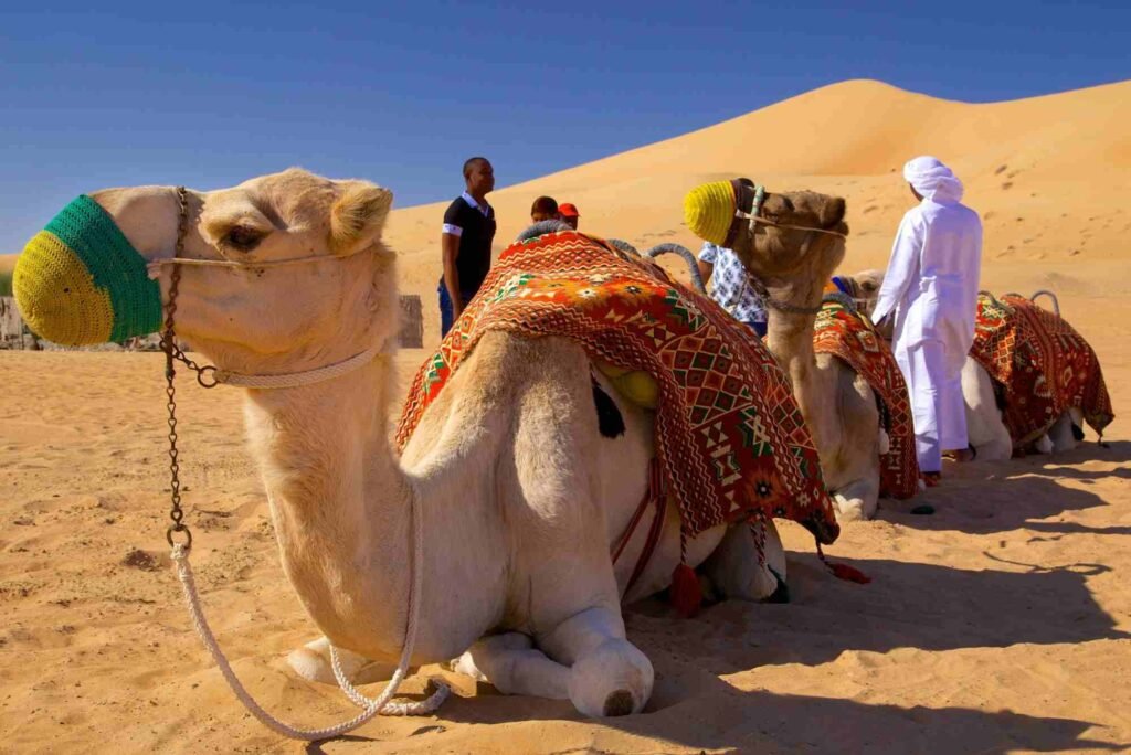 Top Places to Visit in the Middle East