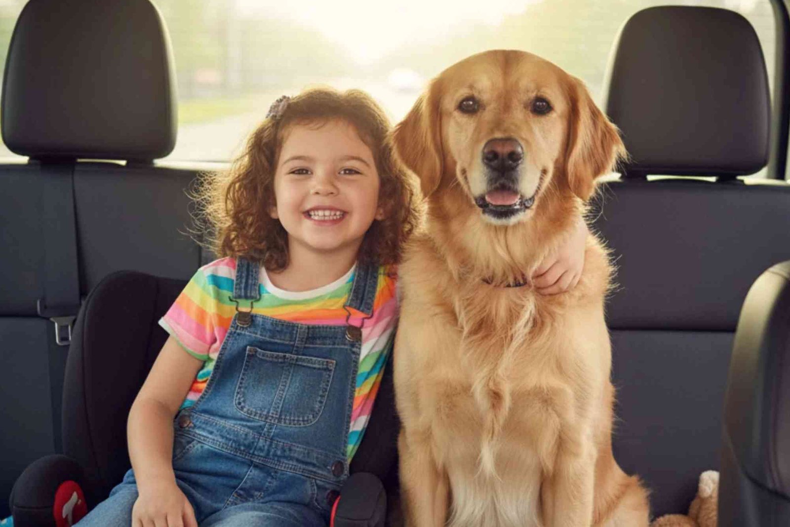 How to Travel With Pets Hassle-Free